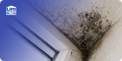 Muffa in casa, cosa fare? 🦠